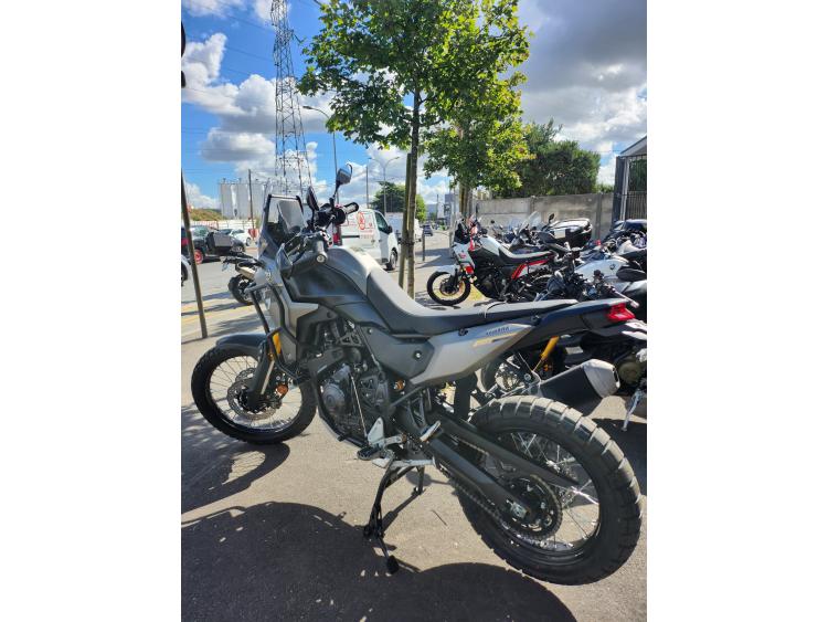 YAMAHA TENERE 700 2026 FROZEN T7 POSSIBLE A2 shifter up/down